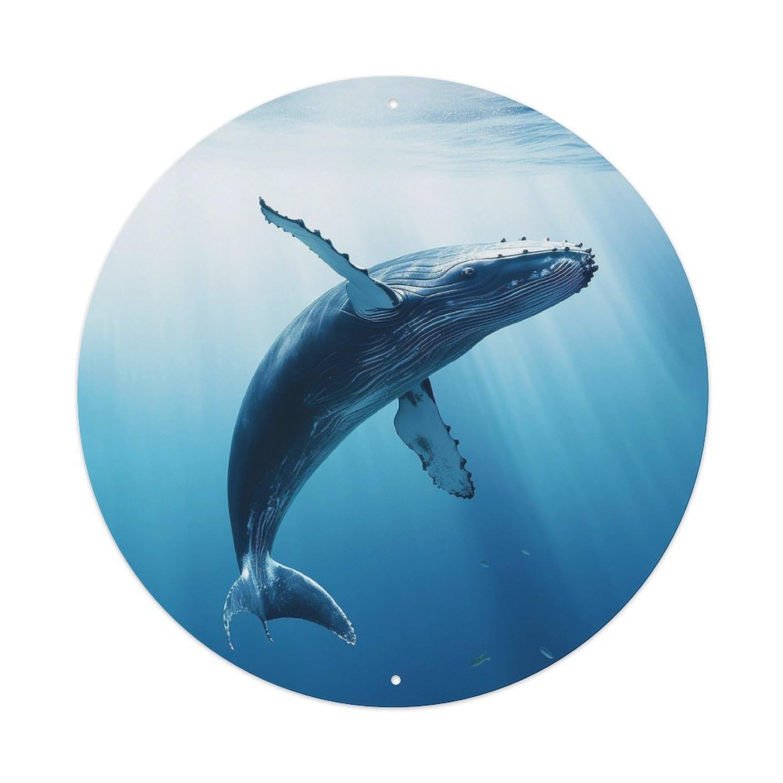 Whimsical Marine Life Zen Animal Underwater Blue Ocean Humpback Metal Tin Sign Plaque Wall Decor for Cafe, Man Cave, Club Bar, Office, Home Garden Round Metal Poster 8x8Inch