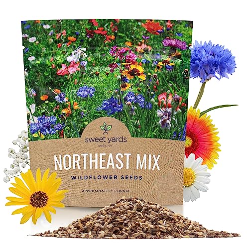 Northeast Wildflower Seeds - Extra Large 1 Ounce Packet - Over 7,500 Native Seeds - Open Pollinated and Non GMO Varieties for New York, Virginia, Pennsylvania, Maine and More!