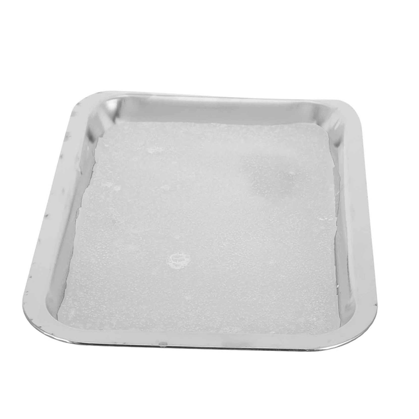 Unomor Stainless Steel Wax Tray Metal Lab Tray Biology Lab Dissecting Pan Organized Study