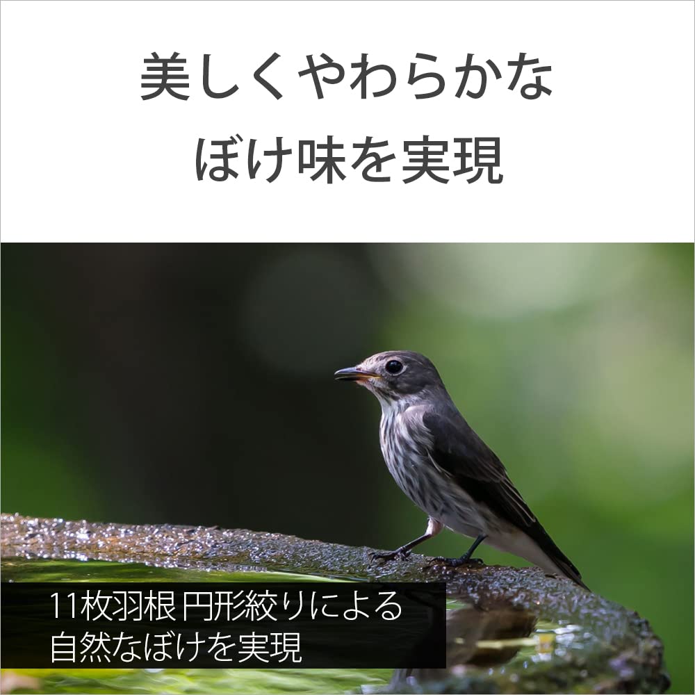 Amazon.com : Sony FE 200-600mm f/5.6-6.3 OSS G Lens : Electronics