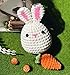 Zepiany Crochet Kits for Beginners - All-in-One Stuffed Animal Knitting Sets - Step-by-Step Video Tutorials DIY, Rabbit&Carrot Crochet Kits