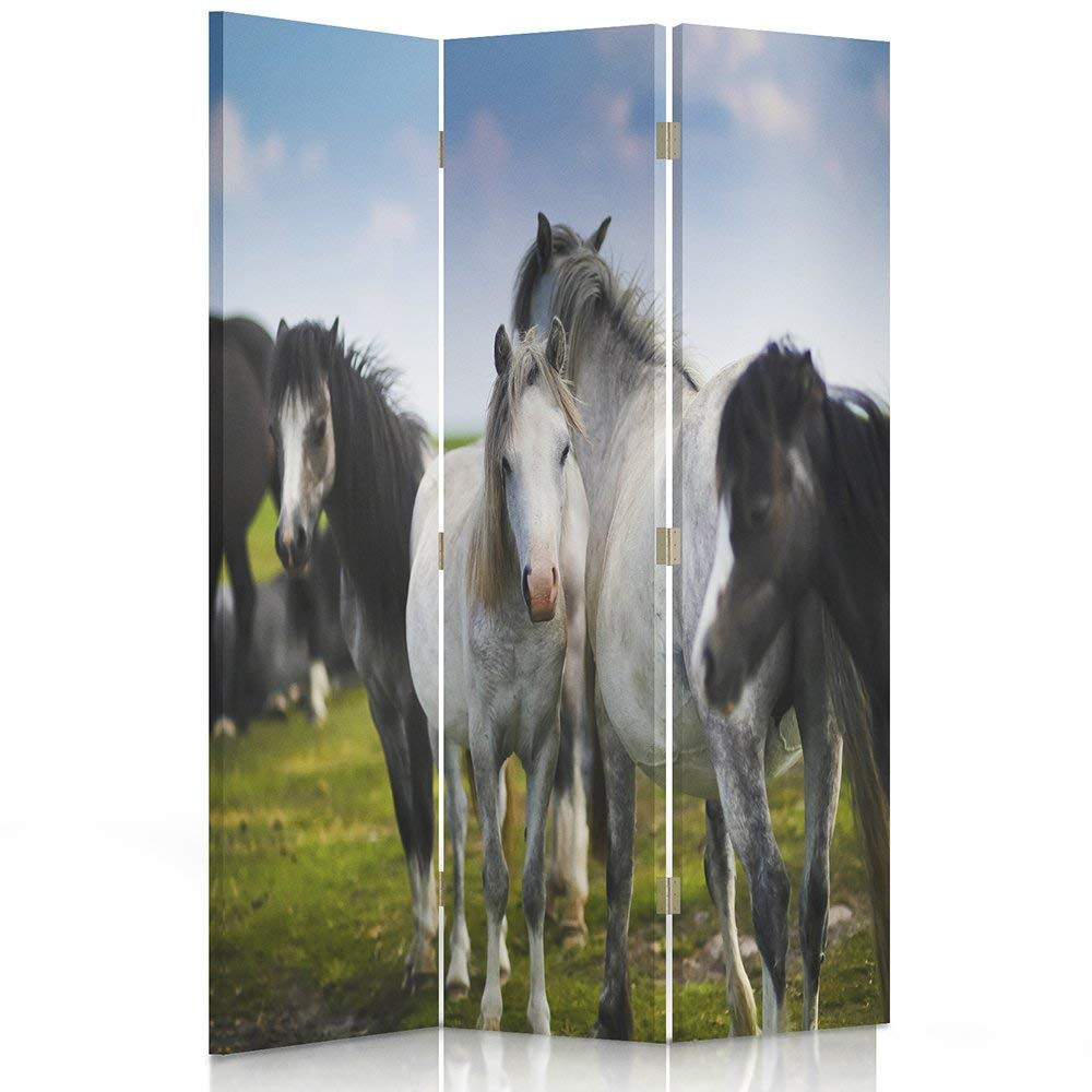 Feeby Paravent 3 pans Chevaux 110x150 cm Une Seule Côté Cloison de séparation Écran Pliant Foto Paravent Interieur Décoratif Mur Espagnol Impression sur Toile Chambre d'enfant Salon Bureau Noir