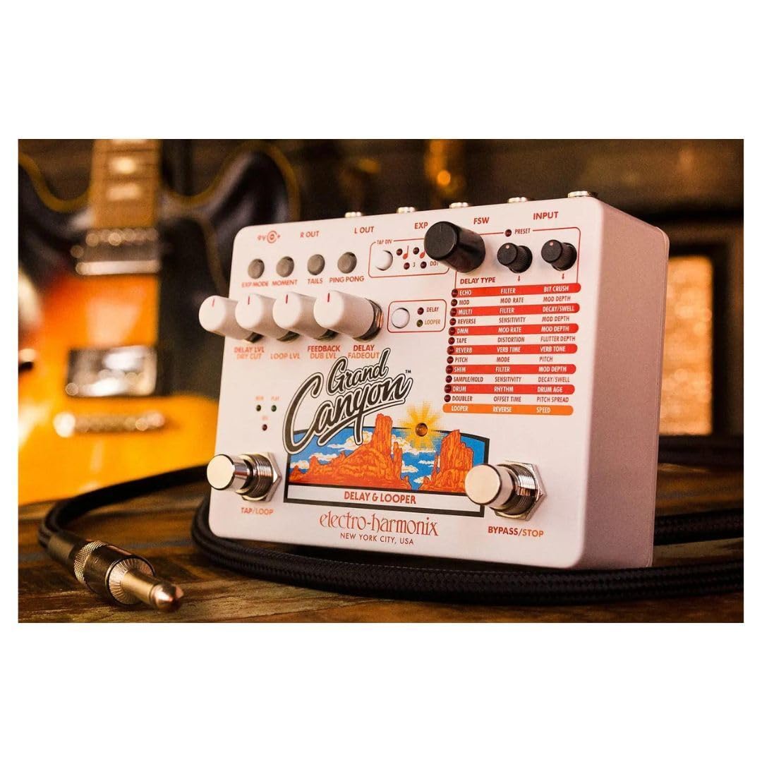 ギター Electro Harmonix Canyon Delay & Loopers Electro-Harmonix Canyon Delay and Looper Pedal | Sweetwater