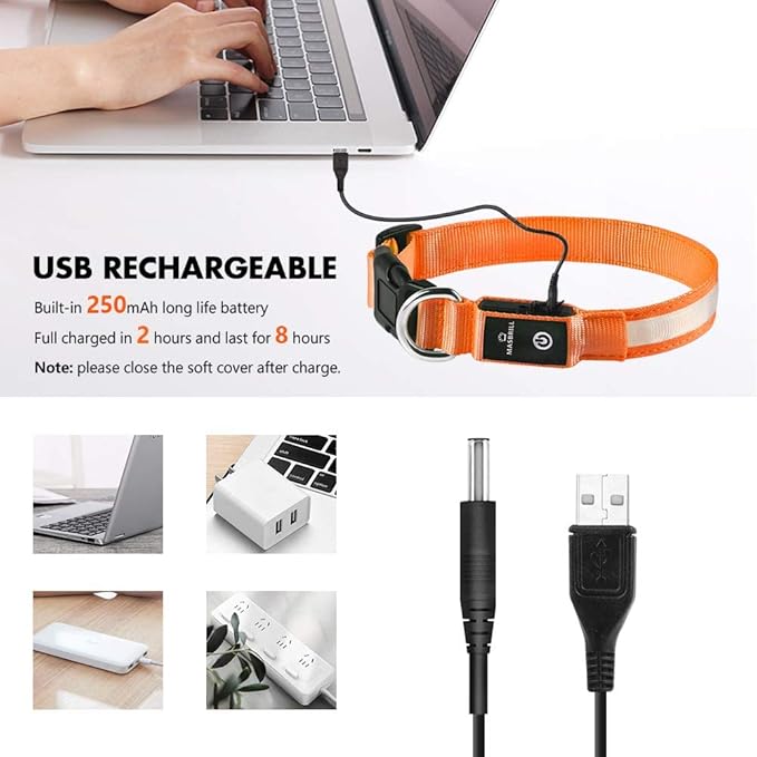 Collar LED Recargable para Perros - Impermeable miniatura 5