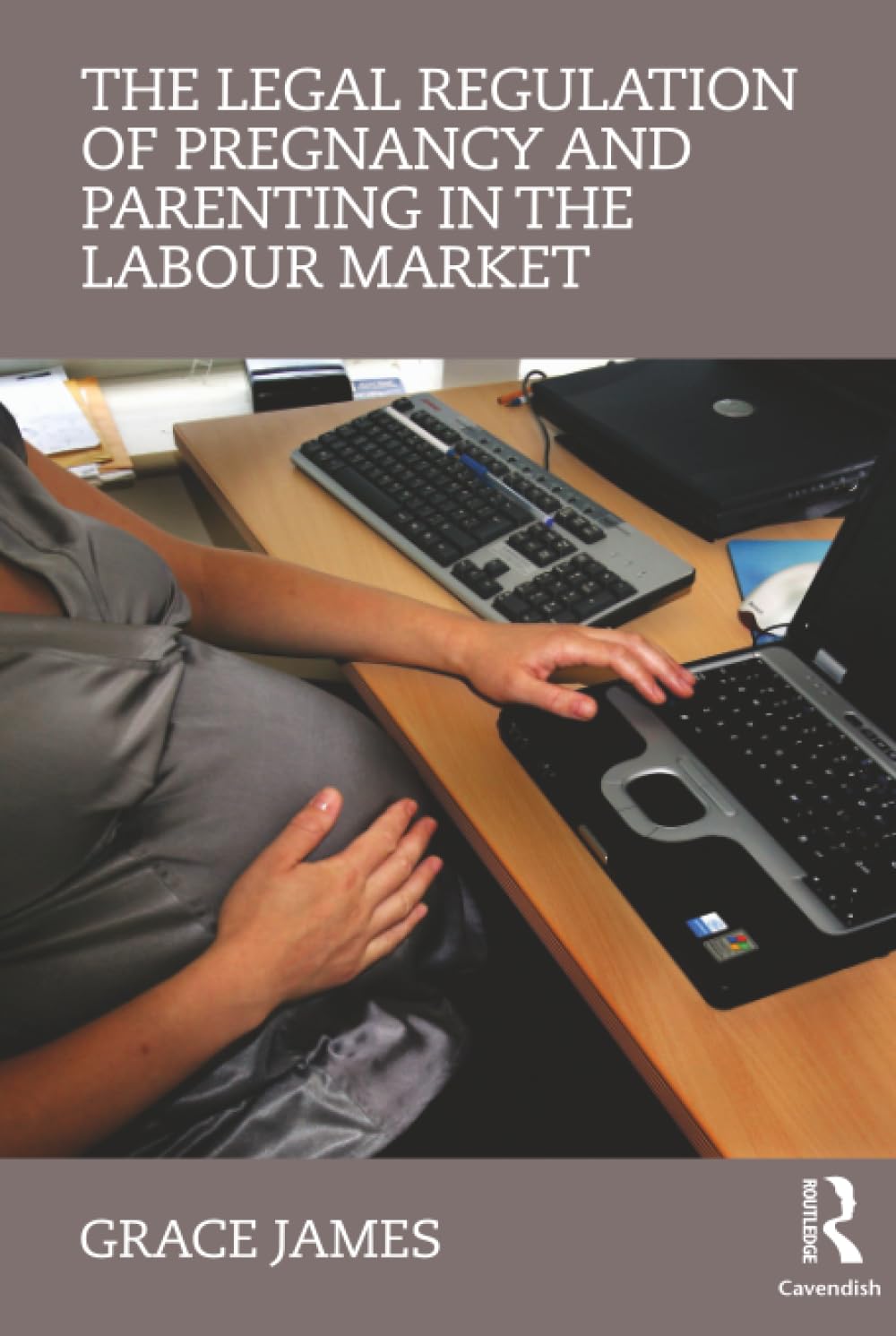 Buy The Legal Regulation of Pregnancy and Parenting in the Labour Market — BookShops.in
