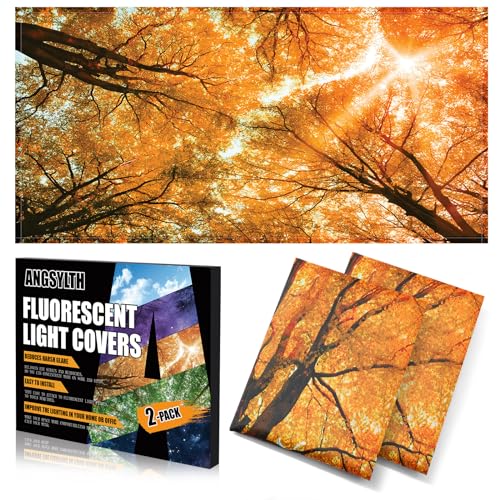 Filtros de luz fluorescente magnéticos de 4x2 pies para techos de aulas