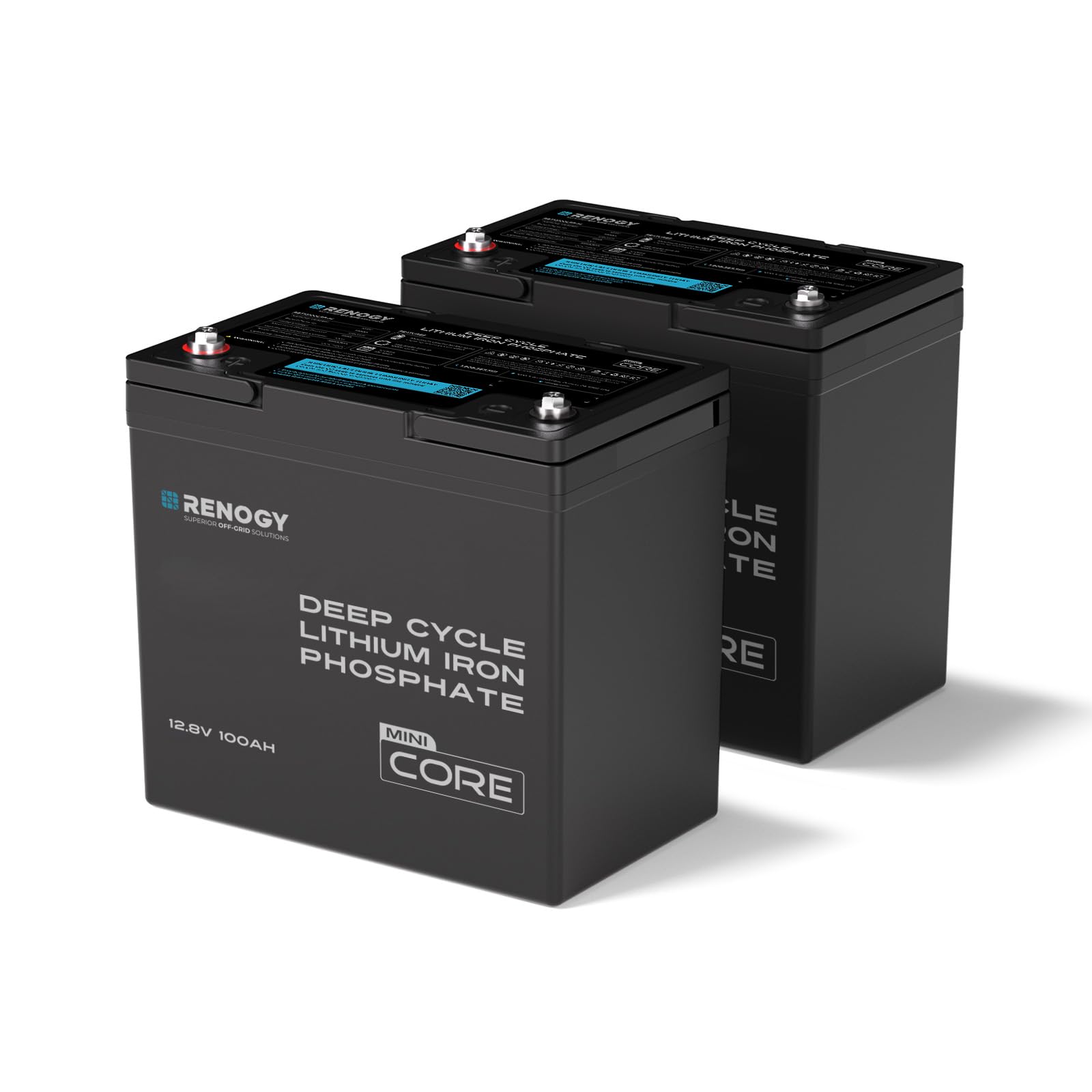 Renogy 100Ah LiFePO4 Lithium Battery, 12V Mini Size 100A BMS RV Boat 2PCS