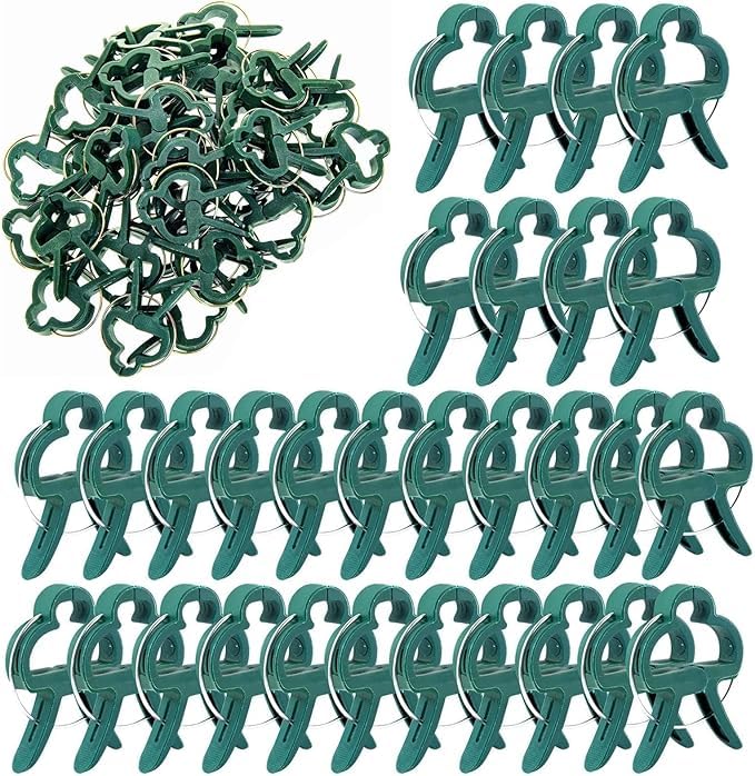 Plant Clips for Climbing Plants by Fabulouz, Adjustable Garden Plant Clips, 2 Sizes (50 Small, 50 Large), 100 Pack, Green, Secure Support for Tomatoes, Vines, Indoor & Outdoor Plants