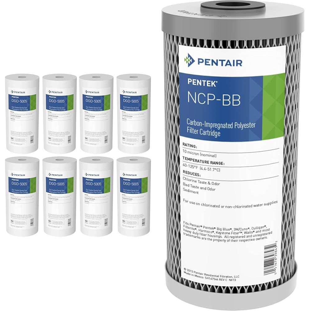 Amazon.com: Pentair Pentek DGD-5005 Big Blue Water Filter, 10