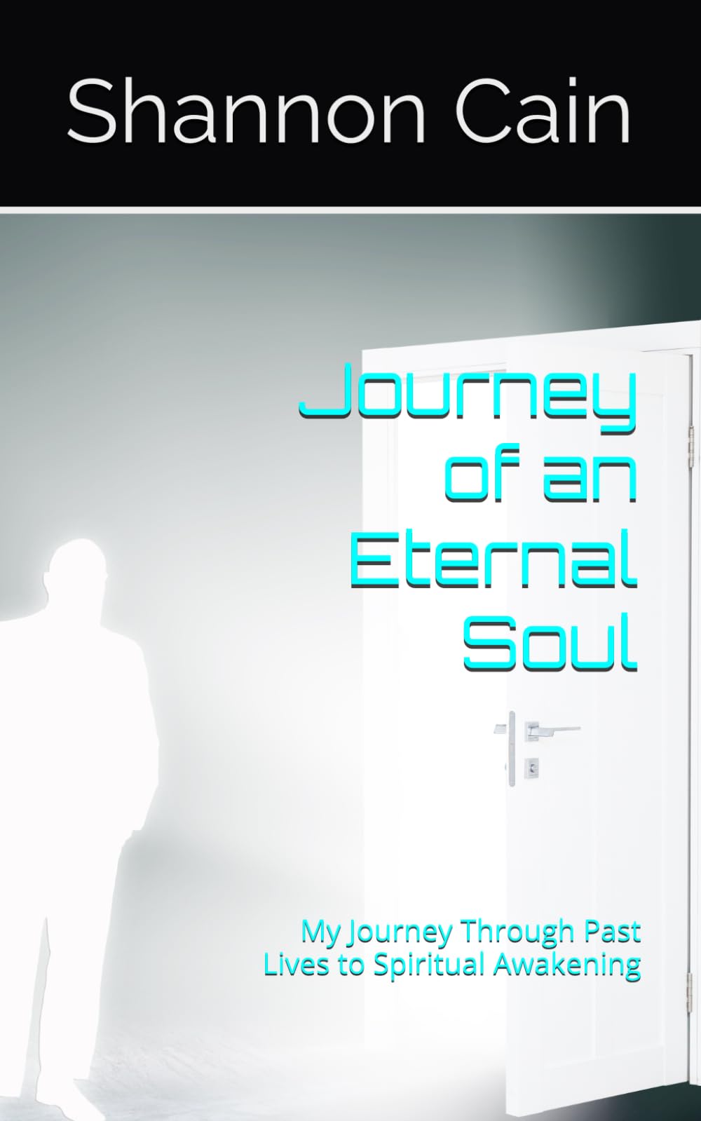 Journey of an Eternal Soul: My Journey Through Past Lives to Spiritual Awakening