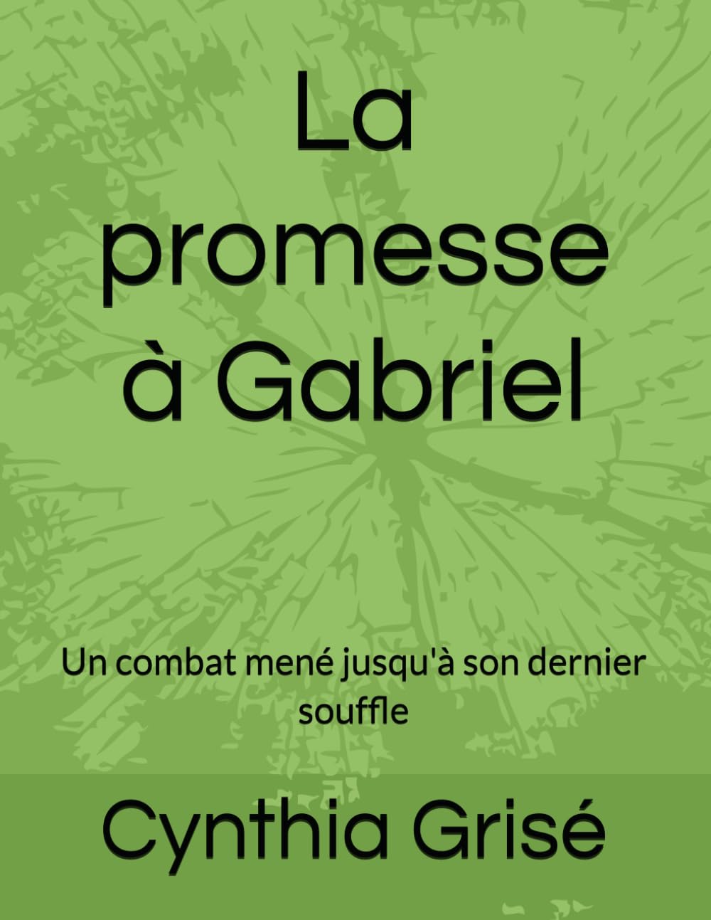 La promesse à Gabriel: Un combat mené jusqu'à son dernier souffle