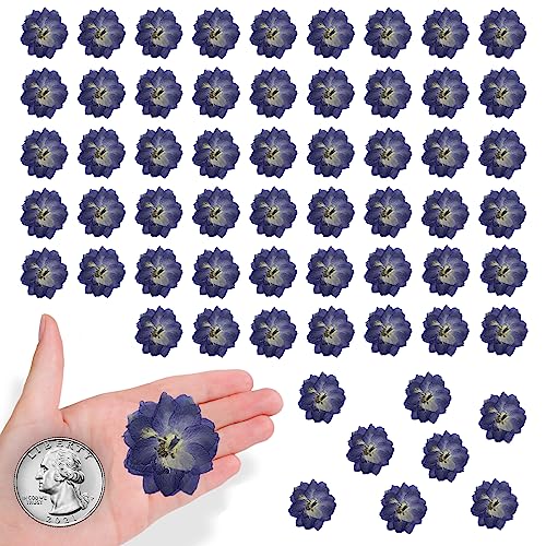 Flores Secas Larkspur Moradas Grandes 60 Piezas miniatura 1