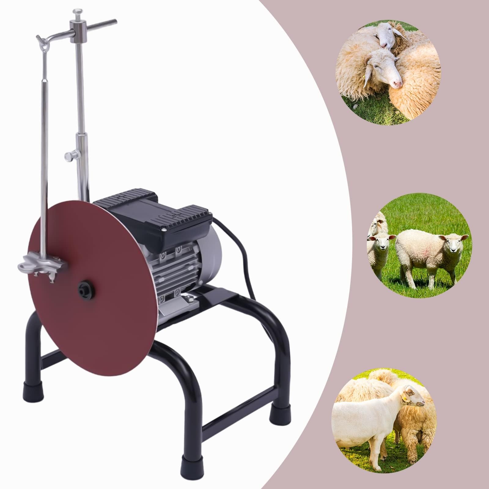 Affilatrice elettrica per Forbici, affilatrice Professionale con Design smontabile per Bestiame.