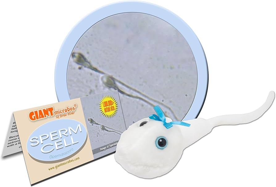 Seksi noziyayai qaramatulo Poltavada fohisha toping