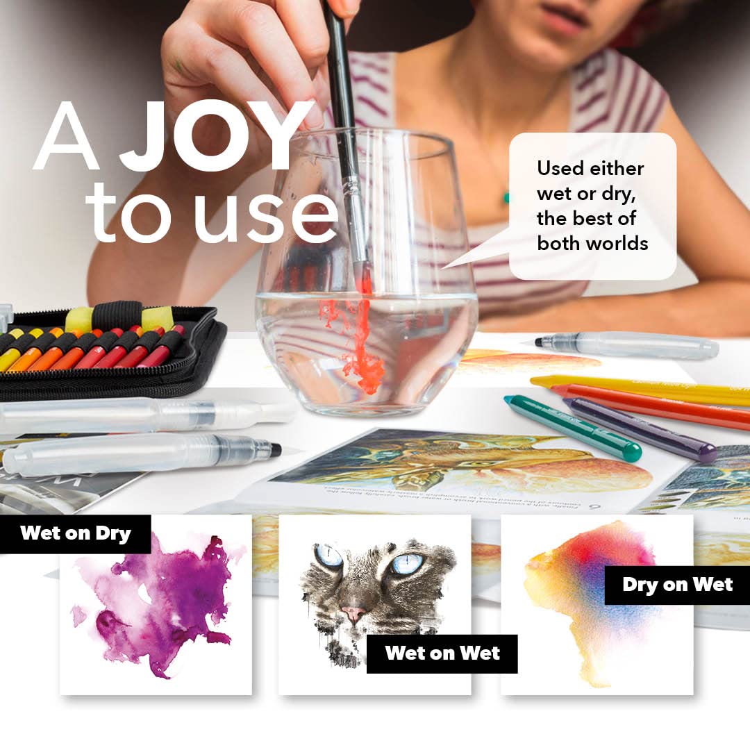 Castle Art Supplies 60-częściowy zestaw bezdrzewnych ołówków akwarelowych, 48 solidnych ołówków pigmentowych premium plus dodatki, cały rdzeń, bez drewna, dla dorosłych artystów, początkujących,