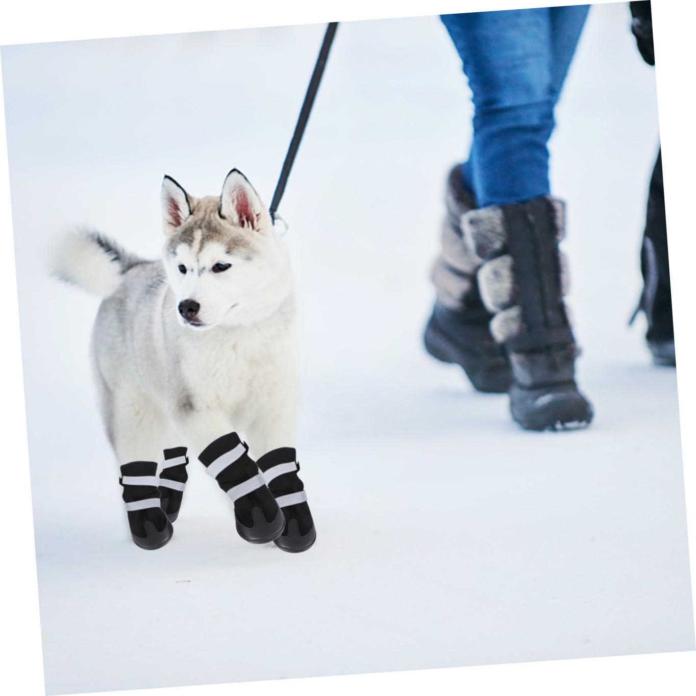 BESPORTBLE 8 STK Haustier Hund Winterschuhe Welpenstiefel für kleine Hunde Haustierschuhe für kleine Hunde hundeschuhe hundepfote Dog Shoes Stiefel für Haustierhunde Hund warme Stiefel Black