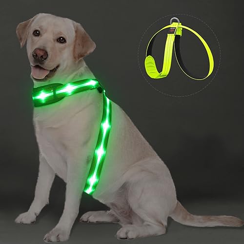 PZRLit Arnés de chaleco para perro con luz LED, recargable, acolchado suave, ajustable y reflectante, impermeable, arnés de luz oscura brillante