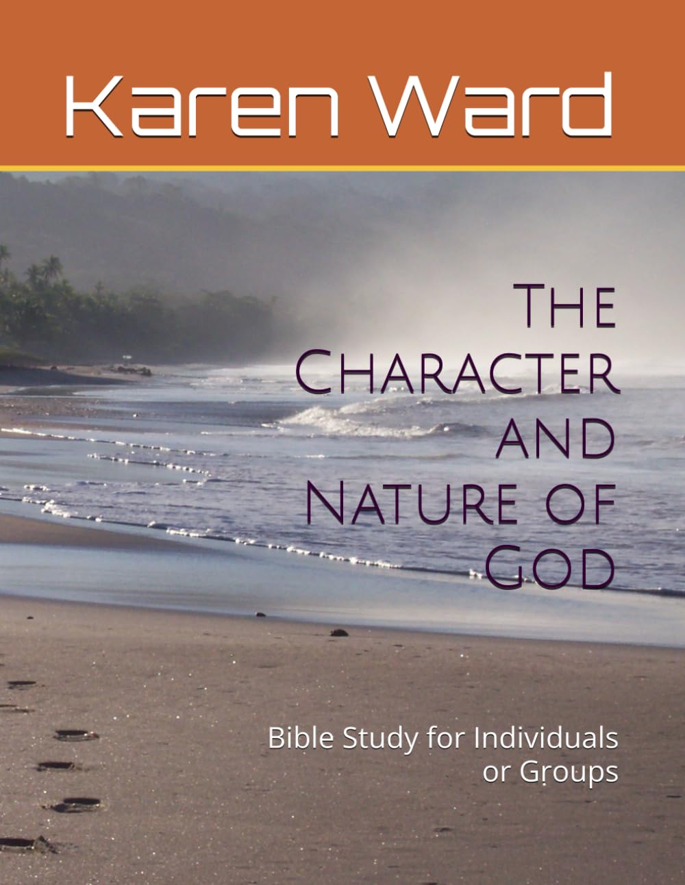 The Character and Nature of God: Bible Study for Individuals or Groups (Small Group Bible Study Curriculum)