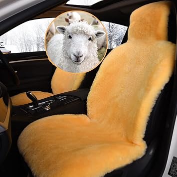Real Genuine Sheepskin Seat Covers for Cars SUV Trucks Van RV Front Seats Sheepskin Car Seat Covers Sheepskin Automotive Seat Covers Fuzzy Fleece Fur Car Seat Covers Orange Universal 1 Piece