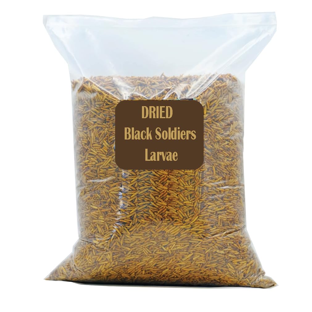 Dried Black Soldier Fly Larvae(10,000+ Larvae) for Aquarium Fish,Birds and Reptile (500 Grams) (B0CQ4QLXT6) Amazon Price History, Amazon Price Tracker