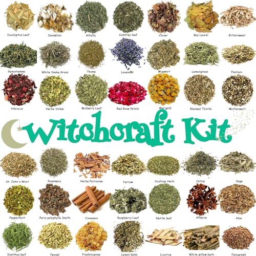 image for Babiclean 42Pcs Set Dried Herbs Witchcraft Supplies kit, Witchy Herbs 