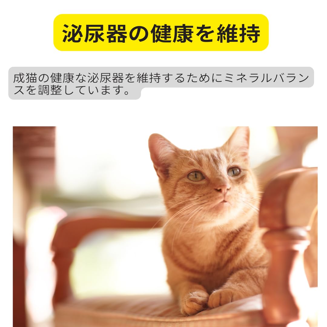 割引純正 おねだりの多い成猫用 生後12ヵ月齢以上 アペタイト