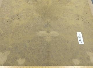 Oak Burl Wood Veneer 24" x 23" on Thick Paper Backer 1/20" Thickness AA Grade