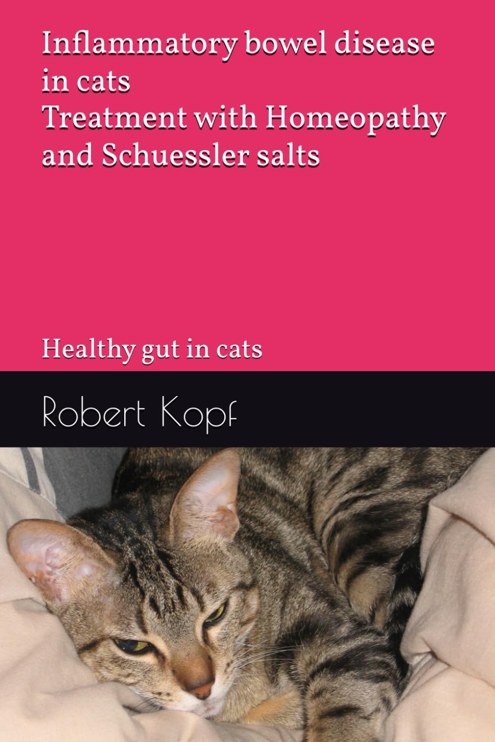 Inflammatory bowel disease in cats - Treatment with Homeopathy and Schuessler salts: Healthy gut in cats