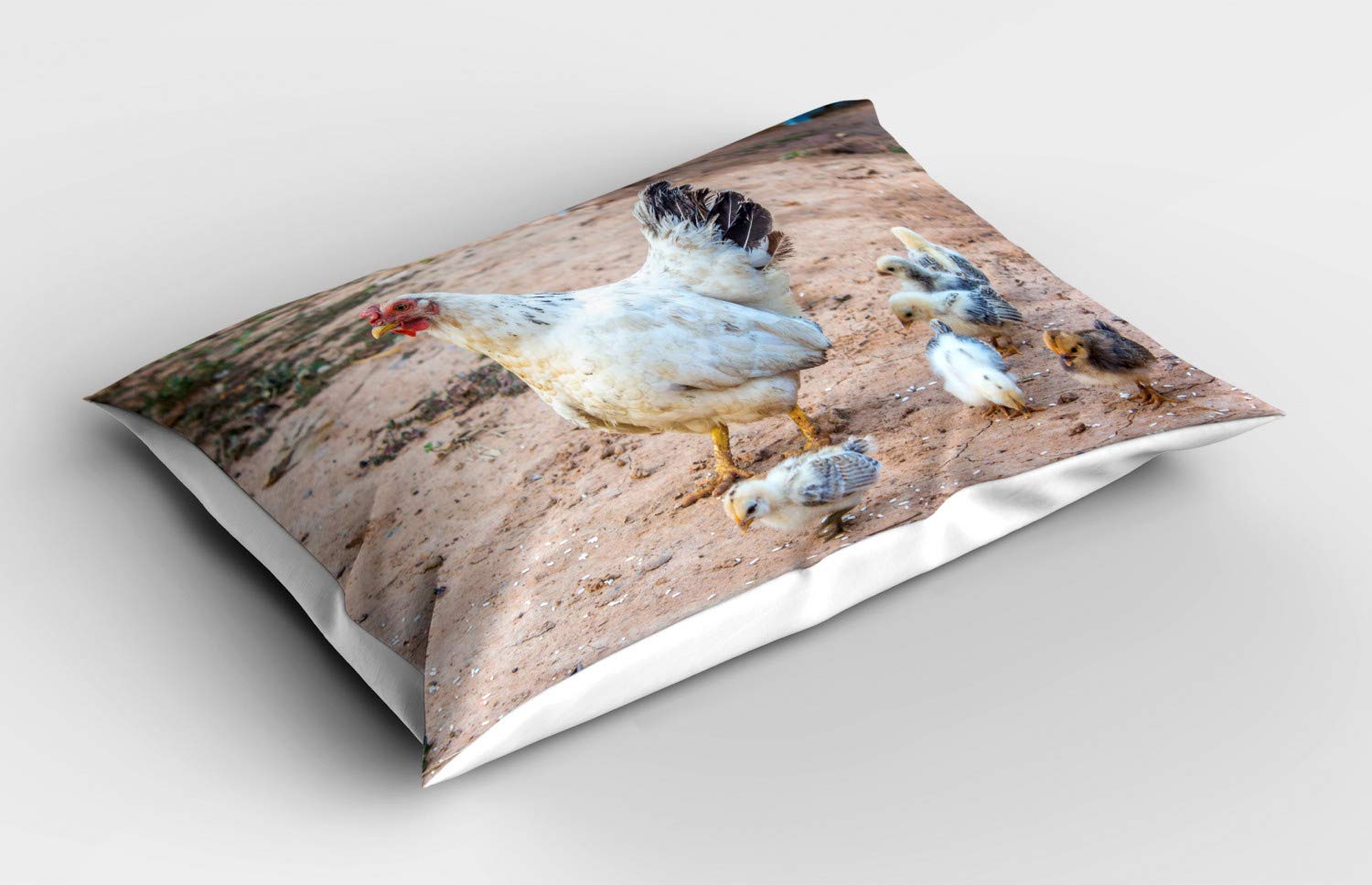 Federa Cuscino Decorativa 50x50 Cm - Gallina E Pulcini, Foto Di Famiglia Polli, Multicolore
