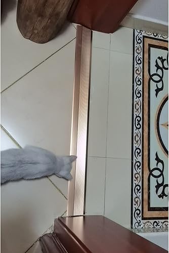 Miniatura 1 de Floor Strips Between Rooms, 4inch 10cm Extra Wide Threshold Transition Ramps for Doorways, Self Adhesive ReducerEdge Trim for Vinyl Wood Uneven