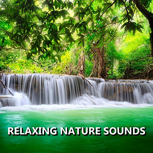 Relaxing Nature Sounds Nature Sounds Digital Music