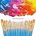 BOSOBO Paint Brushes Set, 2 Pack 20 Pcs Round-Pointed Tip Nylon Hair Artist Acrylic Paint Brushes for Acrylic Painting Oil Watercolor, Face Nail Art, Canvas, Miniature Detailing & Rock Painting, Blue
