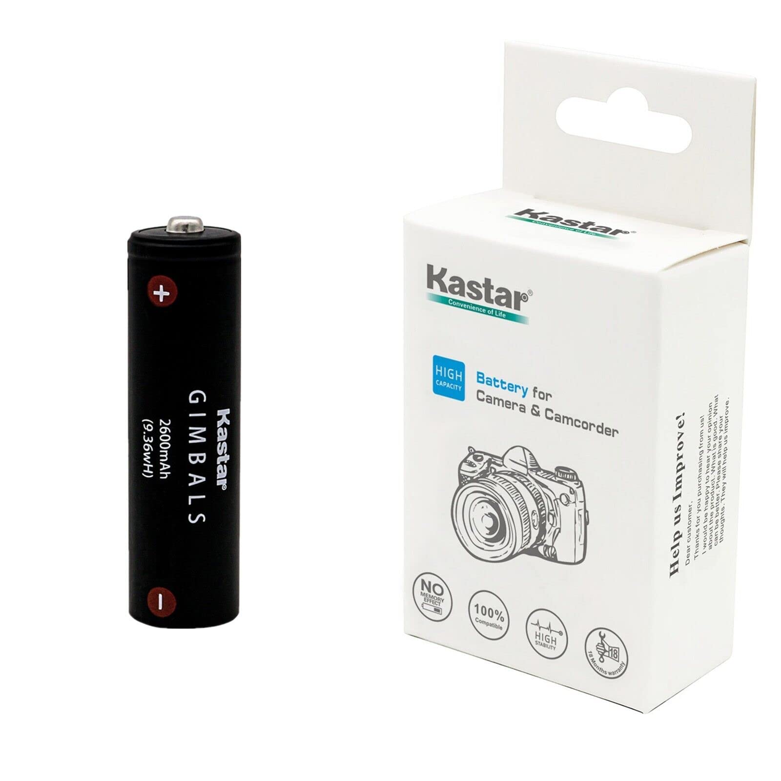 Amazon.com : Kastar Battery 1-Pack Replacement for Feiyu AK2000