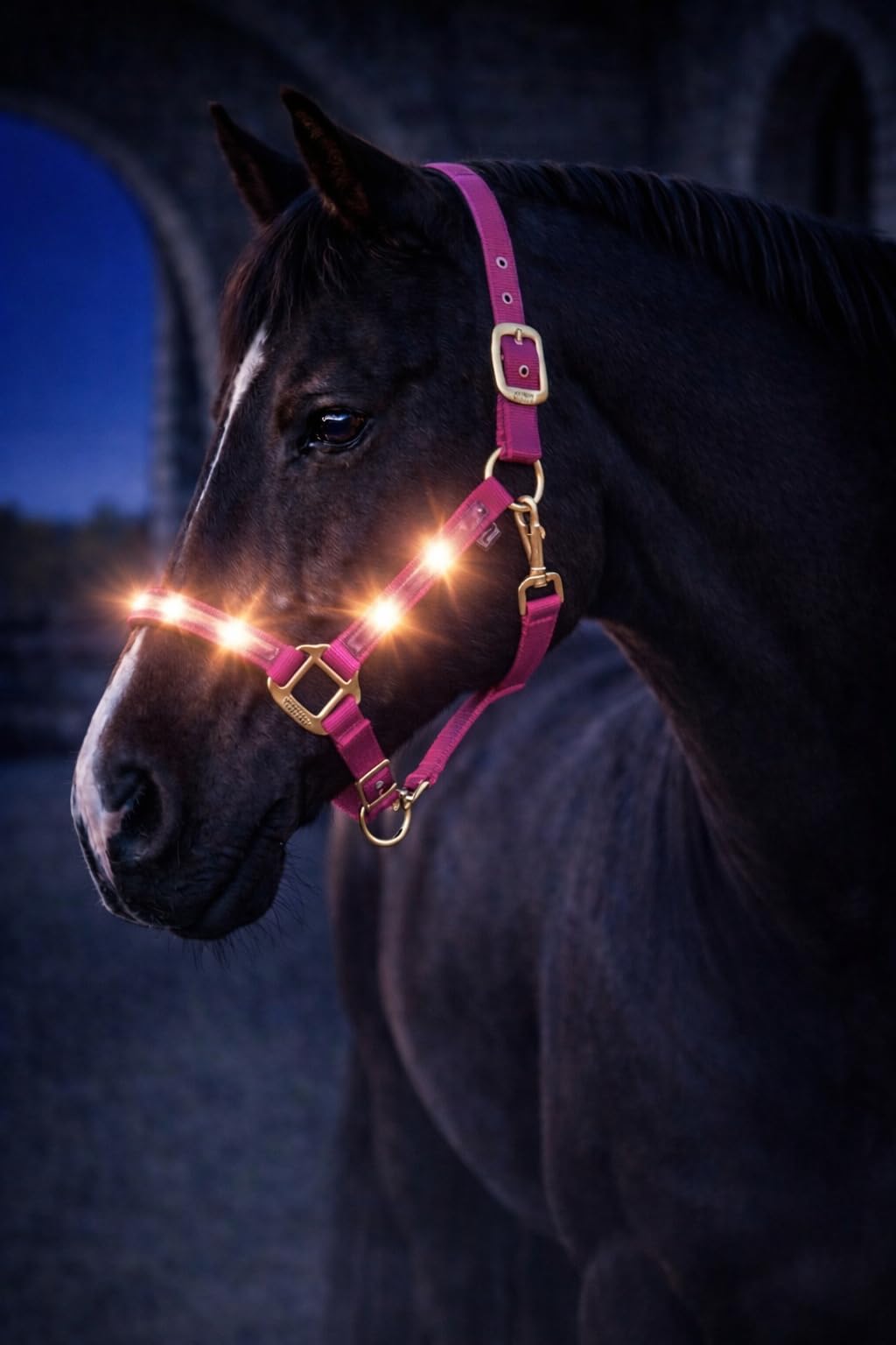 Cavezza luminosa di alta qualità per stalla, cavezza luminosa con LED in nylon (Cob/VB, rosa/oro)