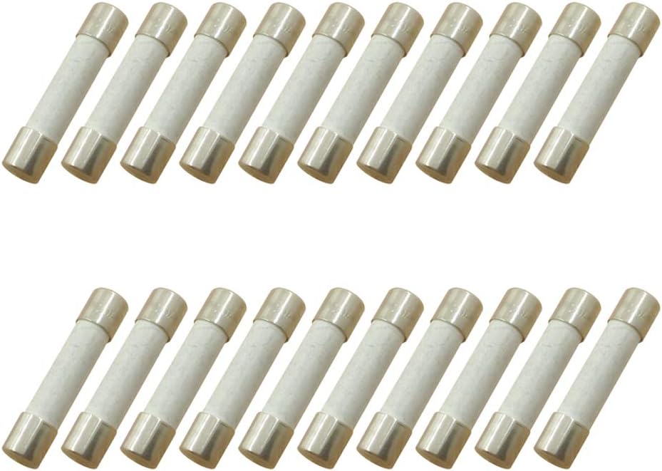 (Pack of 20) 20 Amp 250V Microwave Slow-Blow Time Delay Fuse Ceramic 6x30mm Compatible and Universal Replacement for GE WB27X10388 and Whirlpool Kenmore Other Microwaves