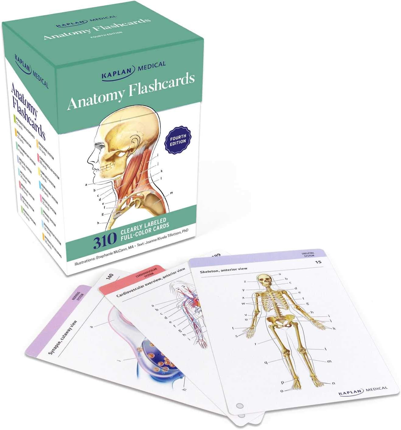 ANATOMY FLASHCARDS