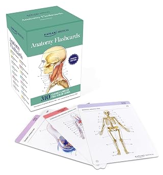 Anatomy Flashcards 300 Flashcards with Anatomically Precise Drawings and Exhaustive Descriptions + 10 Customizable Bonus Cards and Sorting Ring for Custom Study