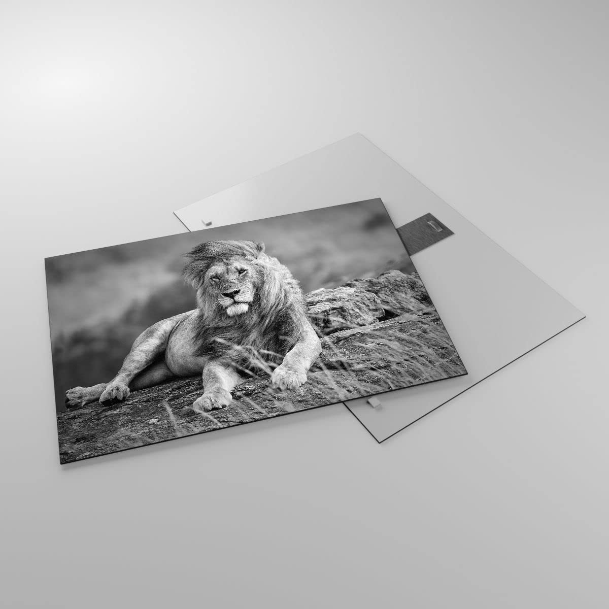 Tableau Moderne Impression Sur Verre - Lion - Dimensions 100x40 Cm - Décoration Murale Salon/chambre