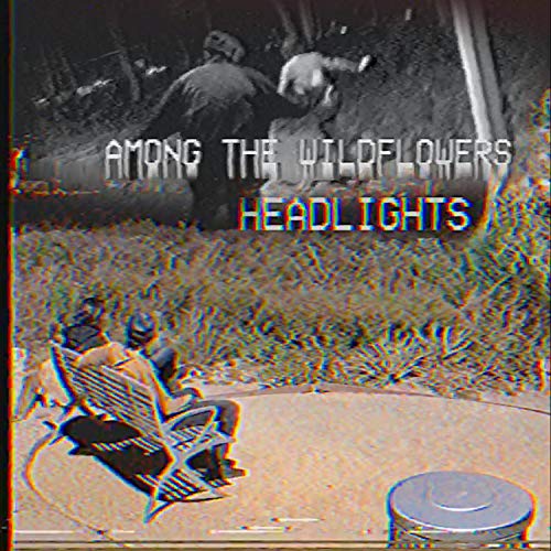 Amazon MusicでAmong the WildflowersのHeadlightsを再生する