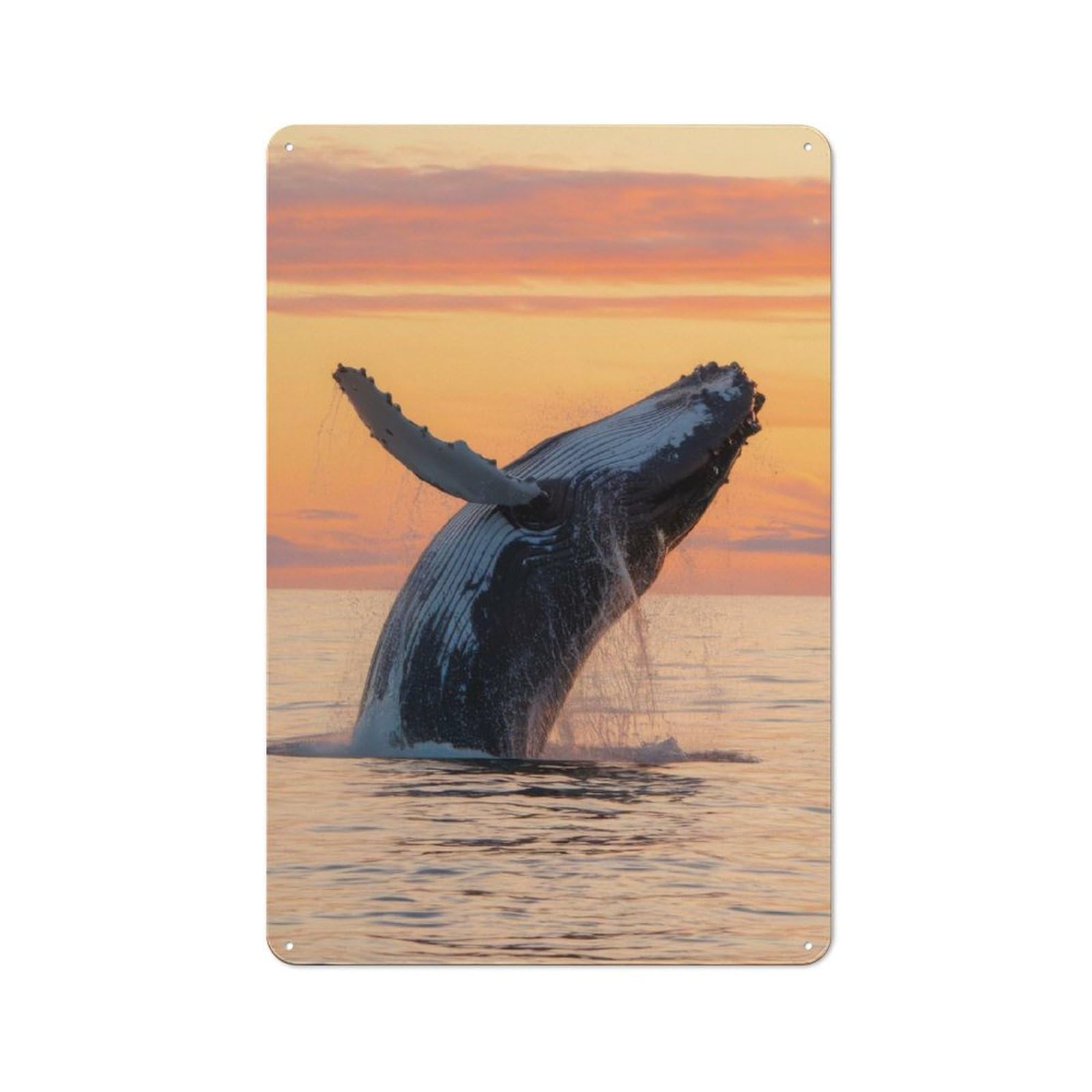 Junmoney Humpback Whale Breaching Sunset Retro Metal Wall Sign 30X20cm For Garage Or Workshop, For Kitchen, Dining Room And Home Bar Wall Decor