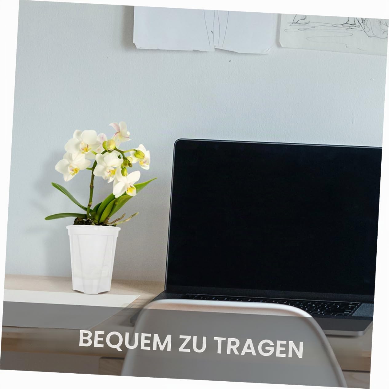 BESTonZON 5 Stück-Pack Selbstbewässernde Orchideentöpfe aus Pp in Weiß