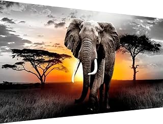5D DIY elephant animal Diamond Art Painting Kits for Adults Full,Elephant Full Drill Embroidery Paintings Rhinestone Pasted DIY Painting Cross Stitch Arts Crafts for Home Wall Decor 31.5 X 15.7inch