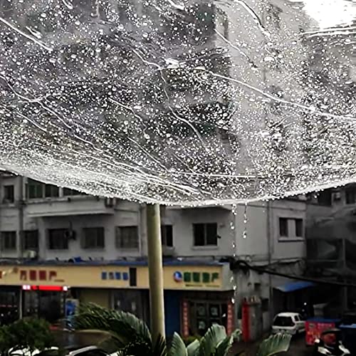 Bâche transparente de jardin pour protéger les cours des plantes du vent