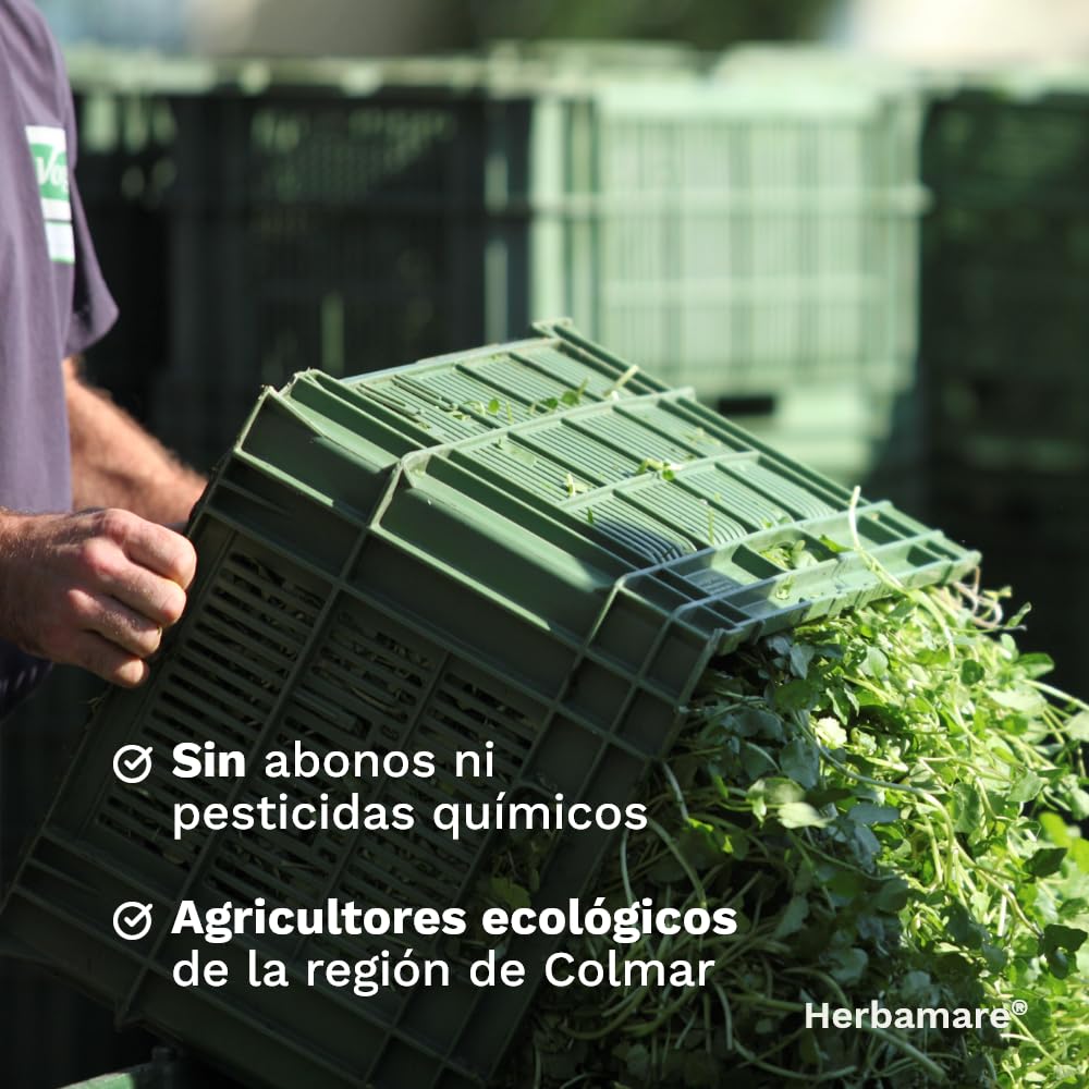 A.Vogel Herbamare | Sal Marina No Refinada | Sal de Hierbas, Hortalizas Frescas y Alga Marina Kelp | Condimento Natural Bio | Realza sabores de ensaladas y sopas | Ideal para cocinar | 250 gramos — view 8