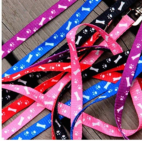 PiniceCore 1 x Nylon Haustier-Katze-Hund Welpen-Leinen Blei-Gurt-Seil-Hot