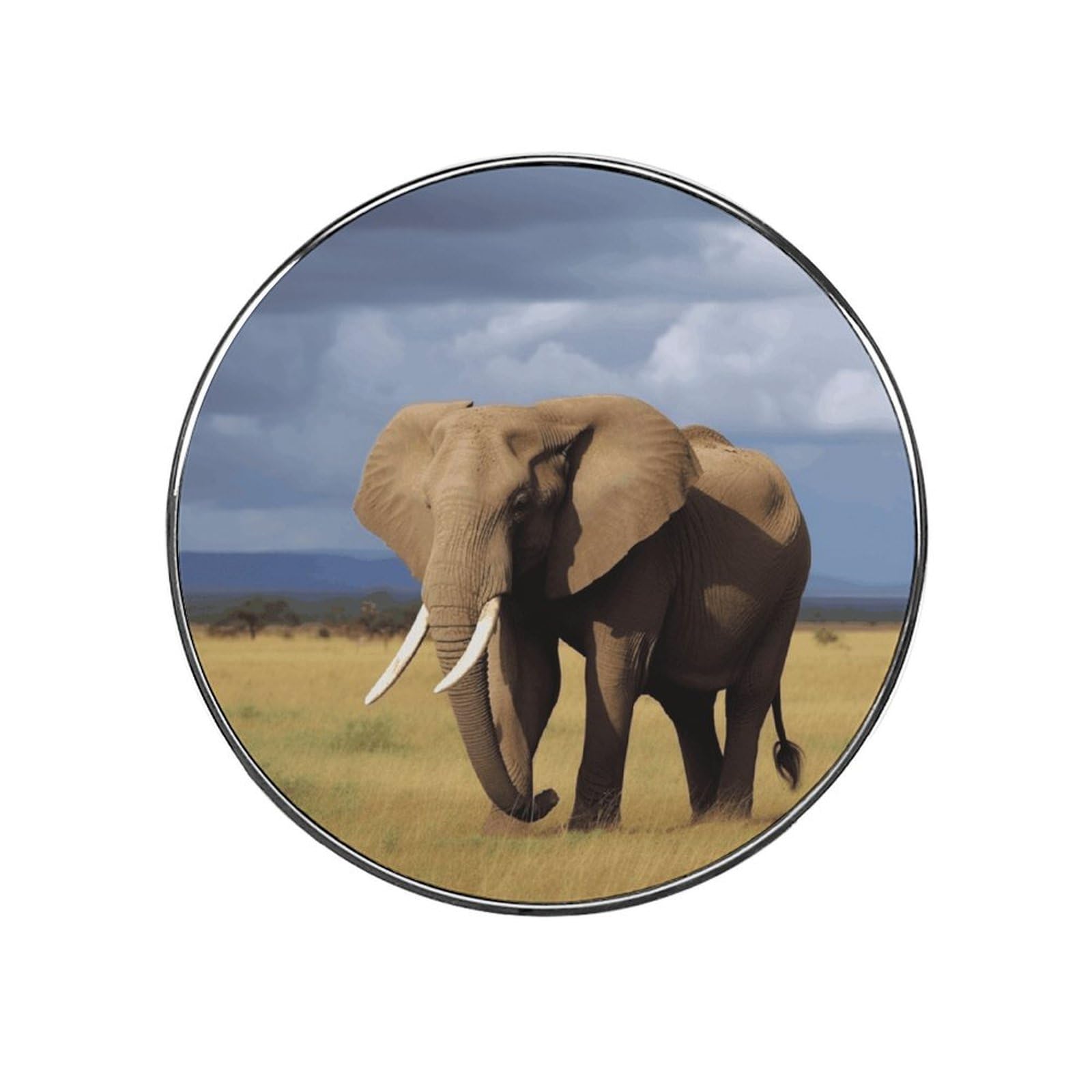 Africa Grassland Elephant Refrigerator Magnet Fridge Sticker Cute Funny Fridge Magnet Strong Magnetic Sticker Fun Decorative Magnet for Whiteboard Work Home Kitchen Office Locker Decor
