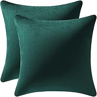 Vista 43 de 2 fundas decorativas de terciopelo para almohada