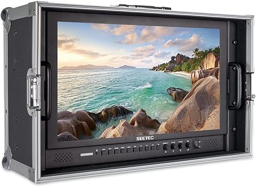 SEETEC P173-9HSD-CO 17,3 pulgadas de transporte en el monitor del director de producción de difusión con 3G-SDI HDMI YPbPr entrada y salida Diseño