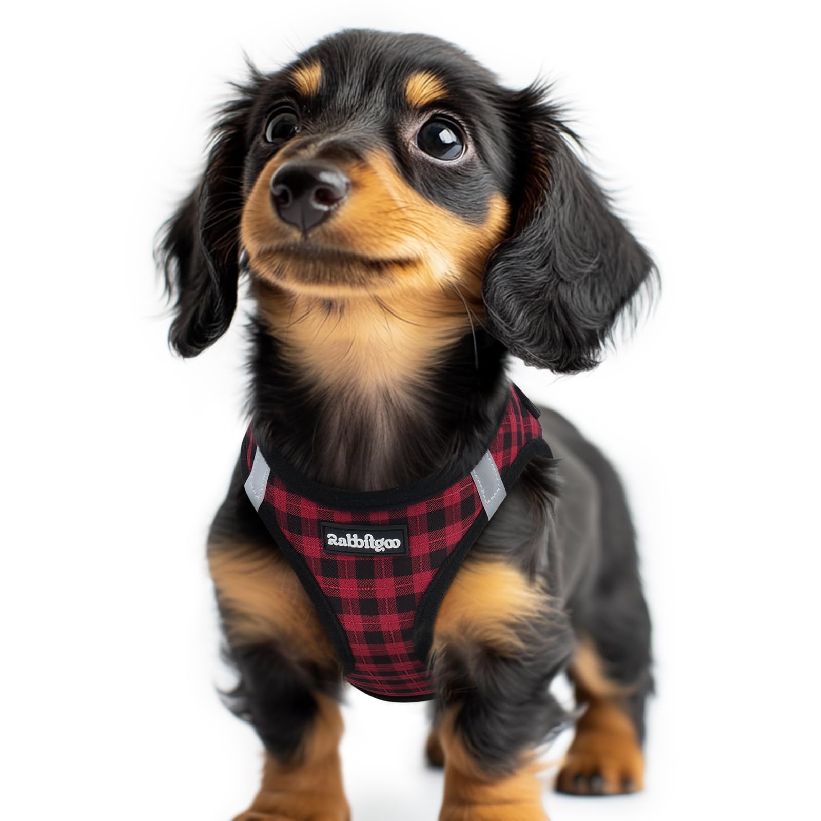 rabbitgoo Dog Harness Small Dog, Step-in Soft Mesh Puppy Harness with Reflective Strips, Lightweight Breathable Pet Vest for Walking Training, Red Plaid, XXS