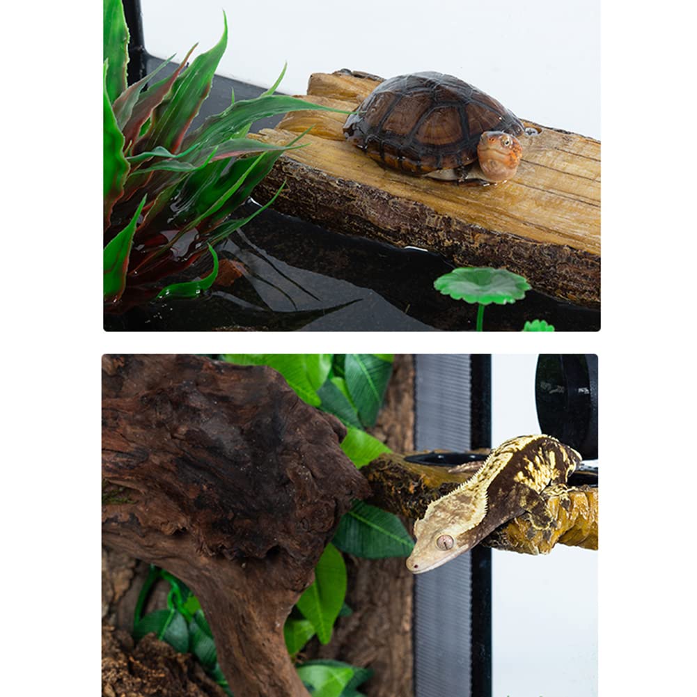 NF Miska do karmienia dla gadów, terrarium dla gadów z regulowaną przyssawką, podajnik dla gadów z żywicą do jaszczurki, gekona, kameleona, żółwi, brodatych smoków